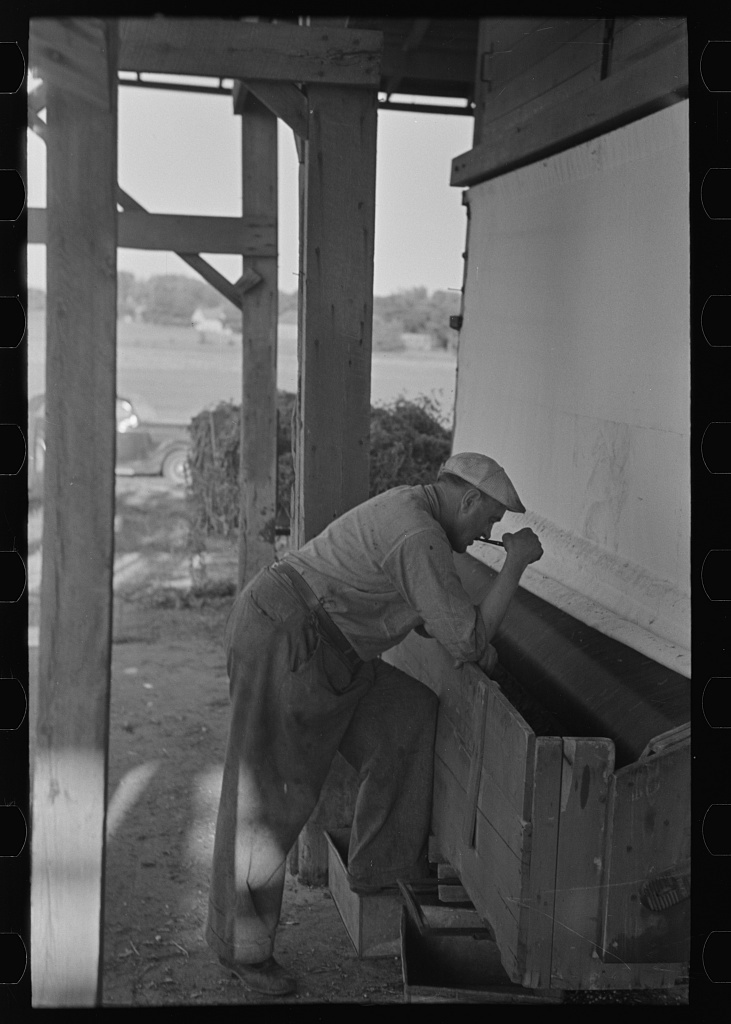 Carpenter inspecting Hansen's disease wood
