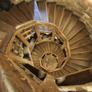 The Ultimate Guide to Wood Shaping: Master Carpentry’s Most Artistic Technique